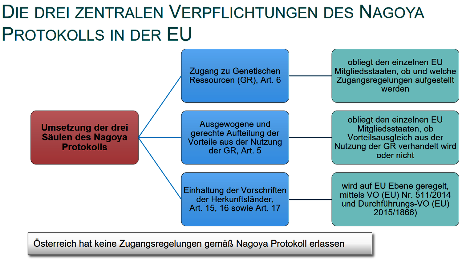 Die drei zentralen Verpflichtungen des Nagoya Protokolls in der EU Grafik über die zentralen Verpflichtungen des Nagoya Protokolls in der EU.